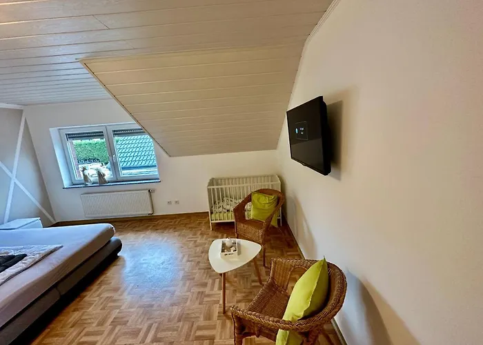 Roemerhaus 度假居 *